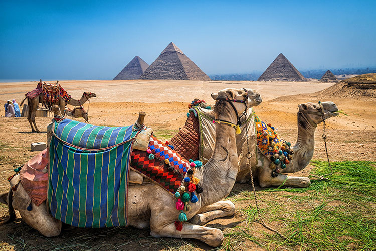 Egypt will begin reopening some regions to international travellers in July &copy; Dale Johnson/500px