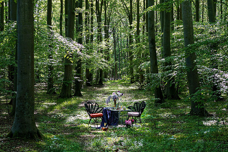 At Nowhere, guests dine surrounded by the beauty of nature &copy; Oddbird