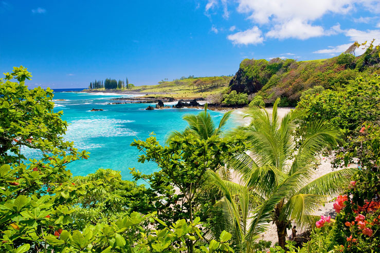 Hamoa beach in Hawaii &copy; M Swiet Productions/Getty Images