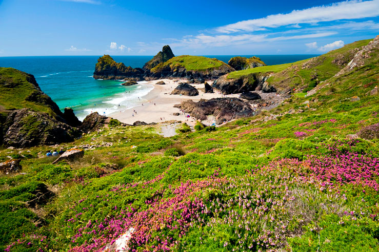 Heather on the hillside above Kynance Cove, the Lizard Peninsula &copy; Myles New / Lonely Planet