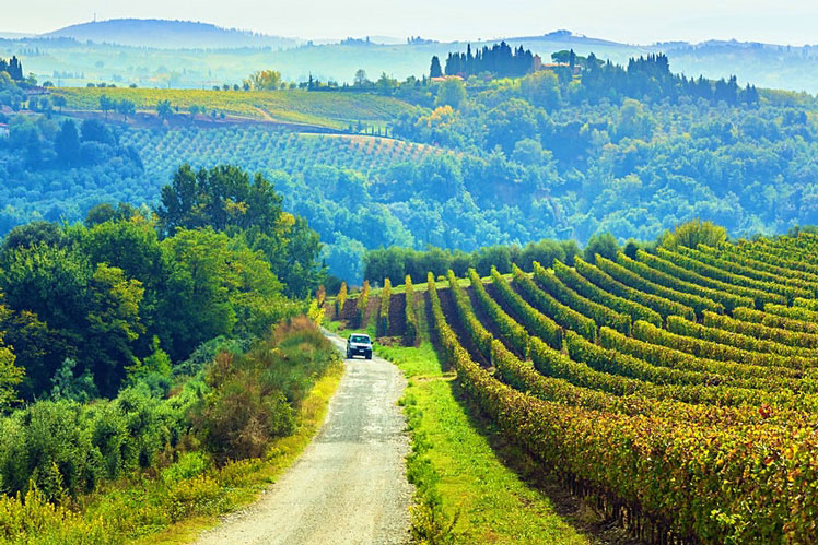 Tuscany's patchwork landscapes of vineyards and rolling hills are perfect road-trip country &copy; Peter Zelei Images / Getty Images
