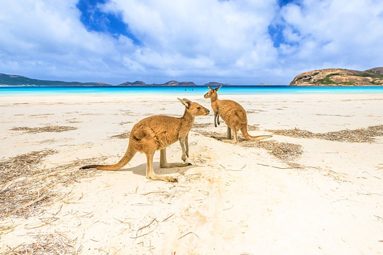 Summer down under is a season of sun and festivities. Here are the best things to do in Australia during the summer months &copy; bennymarty / Getty Images