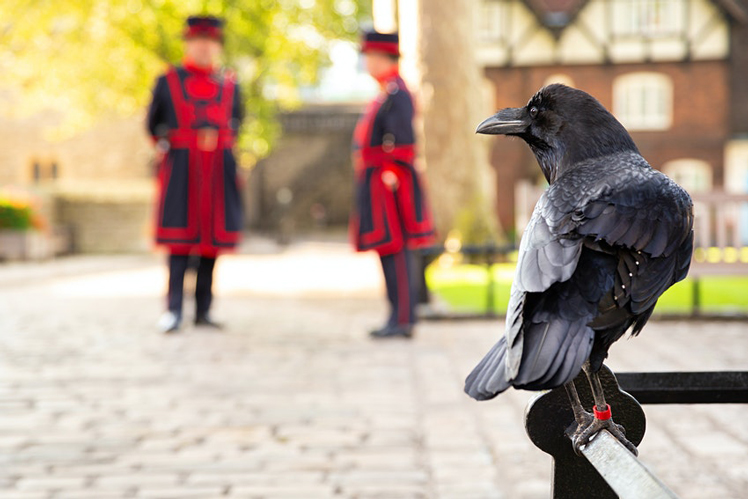 The Tower of London has it owns secrets &copy;VDB Photos/Shutterstock