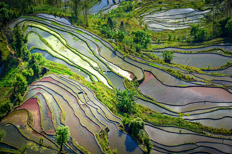 The best time to see the terraced rice fields in Yuanyang is January &copy; Weeraporn Puttiwongrak/Shutterstock