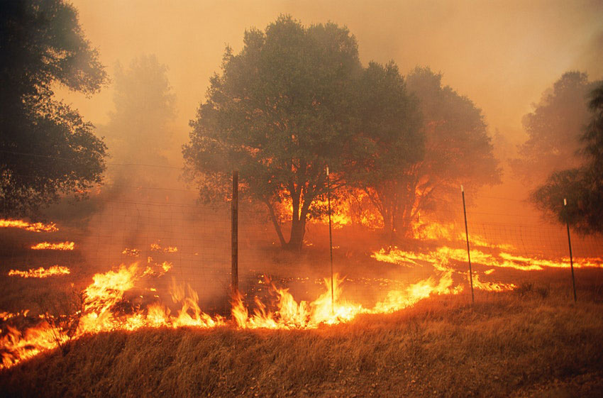 Unrelenting fires raging across the state have caused huge damage &copy; Grant Faint/Getty Images