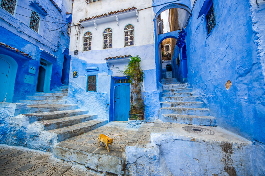 The famous blue city of Chefchaouen, Morocco &copy; komyvgory / Getty Images